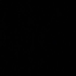 Meet your Posher, Haim